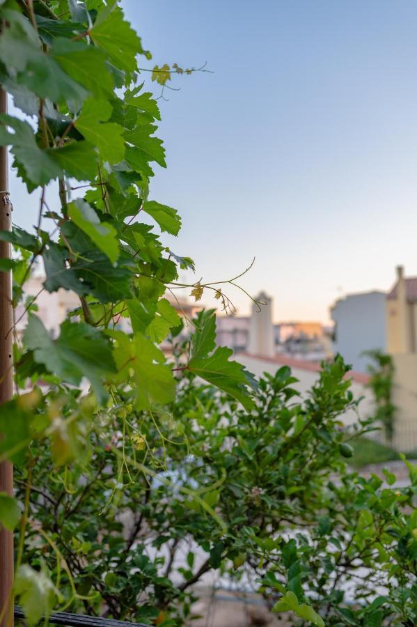 Marthas Delight Rooms Chania  Zewnętrze zdjęcie